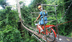 Flying squirrels zip line
